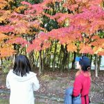 AYACan!!ウォーキングイベント